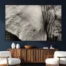 Elephant Wall Art Canvas Print