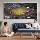 University of Michigan Wolverines Football Team Print - Ann