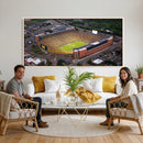 University of Michigan Wolverines Football Team Print - Ann