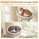 51"Carpeted Cat Tree with Comfy Plush Perches for Indoor Cats by LJGDeals