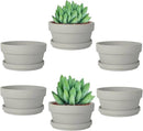 vensovo 4.5 Inch Grey Terracotta Shallow Succulent Pots - 6 Pack Terra Cotta Clay Pot with Saucer, Cacuts Indoor and Outdoor Planters with Drainage Hole by GreenHaven Gardens
