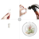 Mkono Wall Hanging Planter Propagation Station Glass Flower Vase for Hydroponics Plants, Bathroom, Home Office Living Room Decor Gift, Oblate Set of 3