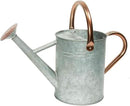 Metal Watering Can, One Gallon Watering Cans Stainless Steel for Outdoor Indoor Garden Plants Watering (Zinc 1 Gallon) by GreenHaven Gardens
