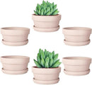 vensovo 4.5 Inch Pink Terracotta Shallow Succulent Pots - 6 Pack Terra Cotta Clay Pot with Saucer, Cacuts Indoor and Outdoor Planters with Drainage Hole by GreenHaven Gardens