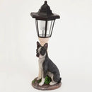 Bits and Pieces - Solar Dog Lantern-Solar Powered Garden Lantern - Resin Dog Sculpture with LED Light (Boston Terrier) by GreenHaven Gardens