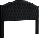 24KF Upholstered Button Tufted King Size Headboard with Nailhead Trim, Soft Velvet Fabric Headboard King/Cal King Size-Black by CozyNest Decor