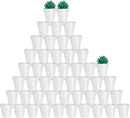 vensovo 48 Pcs 2" Tiny Terracotta & Terra Cotta Pots with Drainage - White Small Mini Clay Ceramic Pottery Planter Ideal for Indoor/Outdoor Plants, Crafts, Wedding Favors by GreenHaven Gardens