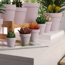 Yishang 72 pcs Small Mini Pink Clay Pots, 2.5'' Terracotta Pot Clay Ceramic Pottery Planter,Cactus Flower Terra Cotta Pots,Succulents Nursery Pots,with Drainage Hole,Great for Crafts,Wedding Favor by GreenHaven Gardens