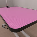 Hydraulic Pet Grooming Table by HouseOfZazla