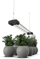 DYMOND BoostGro LED Grow Light Full Spectrum Linkable 5000K Daylight + 660nm Red Indoor Plant Lighting Fixture (2 FT, Black) by GreenHaven Gardens