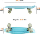 Skateboards Complete 22 Inch Mini Cruiser Retro Skateboard for Kids Boys Youths Beginners by TinyTreasures Baby Boutique