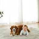 AMTOVO Faux Fur Sheepskin Rug for Living Room, 4 x 6 ft Light Grey Fluffy Area Rug for Bedroom, Playroom, Luxury Room Decor, Rectangle by CozyNest Decor