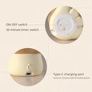 Cute Lion Night Light for Kids, Rechargeable Nursery Lamp with Timer, 3 Brightness Levels & Warm Light, Soft Silicone Baby Night Light, Tap Control, Gift for Toddlers by TinyTreasures Baby Boutique