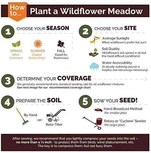 Non GMO Bulk All Perennial Wildflower Seed Mix Non GMO (50 Lbs), photo 7 of 7
