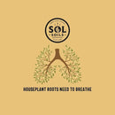 Sol Soils Chunky Houseplant Mix - Fast Draining Soil for Indoor Plants with Coco Coir Chips, Perlite, & Pumice, 2 Quart by GreenHaven Gardens