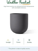 LE TAUCI 10 Inch Plant Pot, Ceramic Pots for Plants with Drainage Hole and Rubber Plug, Plant Pots Indoor for Home Garden Patio Office, Cylinder Planters for Indoor Plants, Charcoal Gray by GreenHaven Gardens