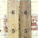 Little Acorns DIY Vinyl Growth Chart Ruler Decal Kit by TinyTreasures Baby Boutique