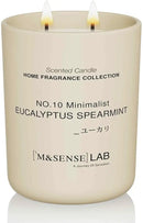 M&SENSE Natural Soy Candle| Eucalyptus Spearmint | 16.6 oz, 95H Burn | Minimalist Scented Candle for Relaxation, Gifting, Home Décor | for Bedroom, Office, Party Large by CozyNest Decor