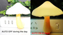 AUSAYE 2 Pack Sensor LED Night Light Plug in NightLight Energy Saving Wall Lamp Mushroom Night Lights for Bedroom, Bathroom,Toilet,Hallway,Kitchen,Kids,Adults Warm White by TinyTreasures Baby Boutique