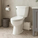 800W/1+HP American Elongated Macerating Toilet Kit with Macerator Pump for Basement Toilet System, 3 - Piece Kit by Lift Assure by CozyNest Decor