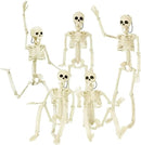 DINESIL 5 Packs Posable Halloween Skeleton, Full Body Halloween Skeleton with Movable Joints, 16" Hanging Spooky Skeletons for Halloween Haunted House Party Home Props Decorations by GreenHaven Gardens