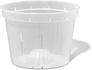 rePotme 8 inch Orchid Pot with Holes - 3 Pack of Slotted Orchid Pots (Crystal Clear) - All Purpose Planter for All Indoor Plants by GreenHaven Gardens