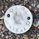 DIY Paw Print Stepping Stone Kit, Pet Memorial Stone, Pet Garden Stone (8 Inch) by GreenHaven Gardens