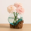 Cape Craftsmen 7" H Hand-Blown Blue Tinted Bubble Glass On Natural Teak Driftwood Terrarium | Home Décor Indoor Planter with Stand | Pot for Succulent and Plants by GreenHaven Gardens