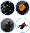 Hiawbon 5.5 inch Fake Beetle Simulated Beetle Model Realistic Plastic Beetle Figures for Fairy Garden Decoration, Set of 6 by GreenHaven Gardens