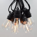 Hometown Evolution, Inc. E26 Commercial String Lights with 16 Gauge Wire (S14 LED Plastic, 50 Foot 25 Socket) by GreenHaven Gardens