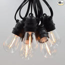 Hometown Evolution, Inc. E26 Commercial String Lights with 16 Gauge Wire (S14 LED Plastic, 100 Foot 50 Socket) by GreenHaven Gardens