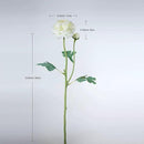 Artificial Ranunculus Long Stem Buttercup Silk Flowers 6pcs for Home Decor and Wedding Decorations(White 1) by CozyNest Decor
