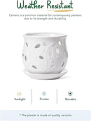 LE TAUCI Ceramic Orchid Pot, 6.5 Inch Orchid Pots with Holes, Orchid Planter for Repotting, Indoor Flower Plant Pot with Drainage and Saucer, White by GreenHaven Gardens