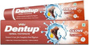 Dentup Herbal Toothpaste with Clove & Basil | Natural Fluoride-Free Ayurvedic Toothpaste for Fresh Breath & Gum Support – 100g Each (Pack of 2) by CozyNest Decor