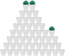 vensovo 48 Pcs 2" Tiny Ceramic Plant Pots with Drainage Hole - White Small Mini Ceramic Pottery Planter Ideal for Indoor/Outdoor Plants, Crafts, Wedding Favors by GreenHaven Gardens