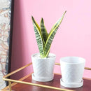 Plant Pots Indoor –5 inch Ceramic Flower Pot with Drainage Hole and Ceramic Tray - Gardening Home Desktop Office Windowsill Decoration Gift, Set of 4 - Plants NOT Included (White) by GreenHaven Gardens
