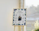 Generic Blueberry First Birthday Milestone Sign, Berry Sweet Birthday Milestone Poster, Boy Blueberries Photo Milestone Board, Design 01 by TinyTreasures Baby Boutique