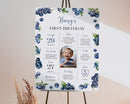 Generic Blueberry First Birthday Milestone Sign, Berry Sweet Birthday Milestone Poster, Boy Blueberries Photo Milestone Board, Design 01 by TinyTreasures Baby Boutique