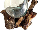 Hand Blown Molten Glass & Teak Wood Terrarium/Vase/Fish Bowl - Premium Quality (12" - 14" High) by CozyNest Decor
