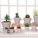 Yishang 36 pcs Small Mini Pink Clay Pots, 2.5'' Terracotta Pot Clay Ceramic Pottery Planter,Cactus Flower Terra Cotta Pots,Succulents Nursery Pots,with Drainage Hole,Great for Crafts,Wedding Favor by GreenHaven Gardens
