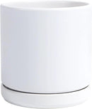 D'vine Dev 6 Inch Ceramic Planter Pot with Drainage Hole and Saucer, Indoor Cylinder Round Flower Pot, White, 94-O-C-1 by GreenHaven Gardens
