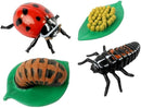 Insect Lore Bug Camp Bundle - Butterfly Kit with 5 Live Caterpillars, Ladybug Land with 1 Tube Live Larvae, Ant Mountain with 1 Tube Live Western Harvester Ants - Bonus Life Cycle Figurines & More by TinyTreasures Baby Boutique