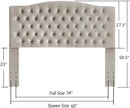 24KF Upholstered Tufted Button Velvet Headboard,Comfortable Fashional Headboard Queen/Full Size,Taupe by CozyNest Decor