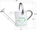 Metal Watering Can for Outdoor and Indoor Plants, Watering Can Decor, 1 Gallon (Capricorn) by GreenHaven Gardens