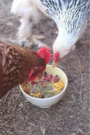 Pampered Chicken Mama Best Eggs Ever! Nesting Herbs for Chickens (4 Pounds) Calcium Supplement for Chickens | Chicken Feed Supplies, Hen Treats for Coops by GreenHaven Gardens