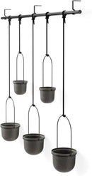 Umbra Triflora Hanging Planter for Window, Indoor Herb Garden, Set of 5, Black by GreenHaven Gardens