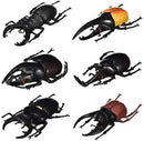 Hiawbon 5.5 inch Fake Beetle Simulated Beetle Model Realistic Plastic Beetle Figures for Fairy Garden Decoration, Set of 6 by GreenHaven Gardens