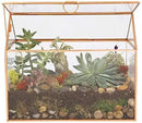 D'Eco Glass House Plant Terrarium (10"x6"x8") - Indoor Tabletop Gold Geometric Planter Terrarium for Succulents, Air Plants, Moss - Home, Garden, Wedding & Office Decor - Gift for Plant Lovers by GreenHaven Gardens