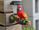 ParrotTree Hugger with Solar Lantern Outdoor Garden Hanging Statues Fence Solar Lights Ideal Parrot Housewarming&Birthday Gifts for Grandma Mom Women by CozyNest Decor