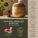 Gya Labs Angelica Root Essential Oil for Diffuser - 0.34 Fl Oz - 100% Pure Natural Angelica Oil for Skin, Hair, Massage & Candle Making Scent by CozyNest Decor